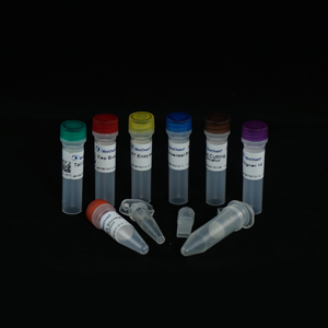 RapidSeq High Yield Small RNA Sample Prep Kit - With Aligner 37-48