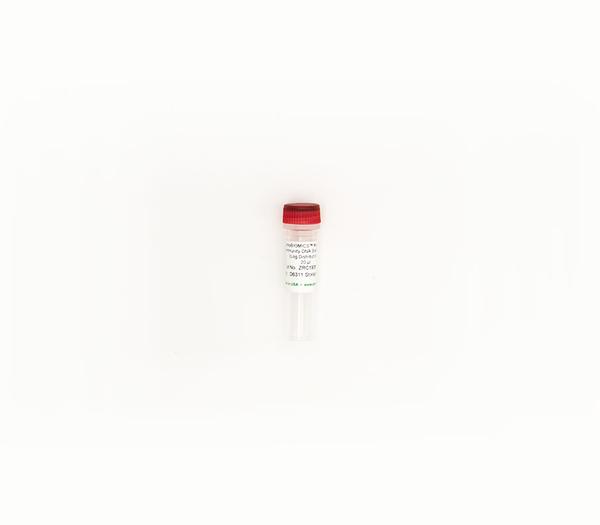 ZymoBIOMICS Microbial Community DNA Standard II (Log Distribution)